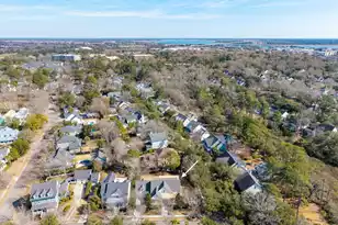 102 Bellinger St, Daniel Island, SC 29492 - Photo 53