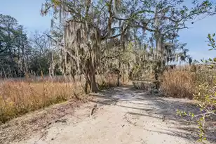 9 Arabian Dr, Charleston, SC 29407 - Photo 93