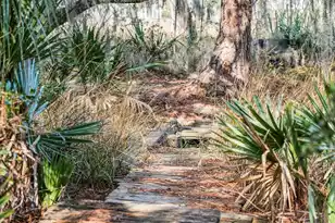 9 Arabian Dr, Charleston, SC 29407 - Photo 87