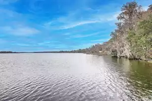 1045 Old Cypress Run, Hanahan, SC 29410 - Photo 39