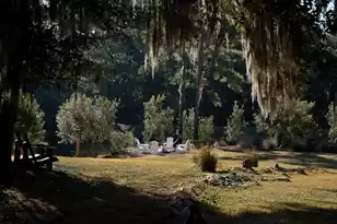 4105 Gnarled Oaks Ln, Johns Island, SC 29455 - Photo 15