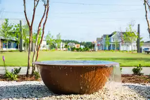 594 Scholar Wy, Summerville, SC 29486 - Photo 67