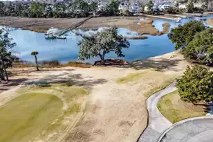 2314 Brackish Dr, Mount Pleasant, SC 29466 - Photo 55