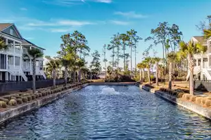 2314 Brackish Dr, Mount Pleasant, SC 29466 - Photo 49