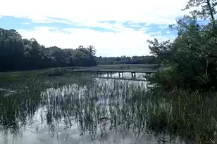 1763 Clark Hills Cir, Johns Island, SC 29455 - Photo 1