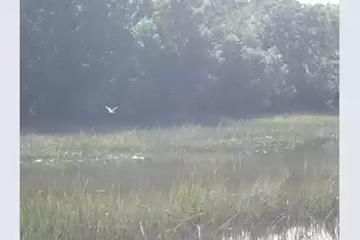 1763 Clark Hills Circle, Johns Island, SC 29455 - Photo 5