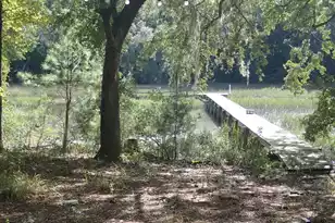 1763 Clark Hills Cir, Johns Island, SC 29455 - Photo 3