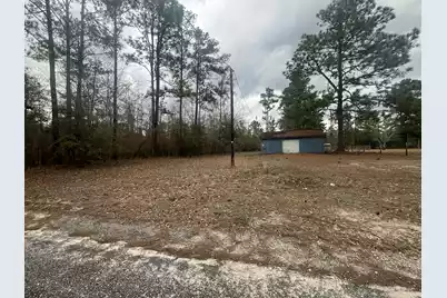 101 Driggers Lane, Walterboro, SC 29488 - Photo 23