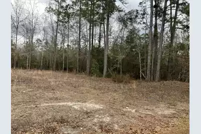 101 Driggers Lane, Walterboro, SC 29488 - Photo 17