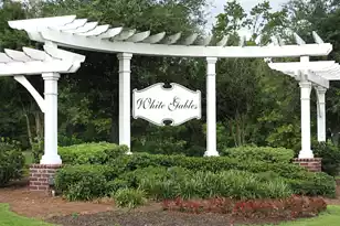 400 Hydrangea St, Summerville, SC 29483 - Photo 67