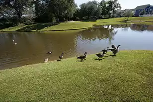 400 Hydrangea St, Summerville, SC 29483 - Photo 71
