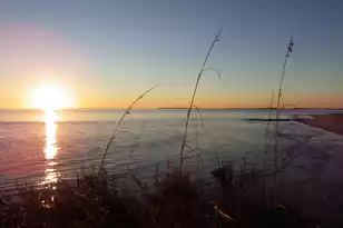 3516 Myrtle St, Edisto Beach, SC 29438 - Photo 57