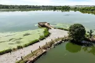 472 Tulip Poplar Dr, Moncks Corner, SC 29461 - Photo 19