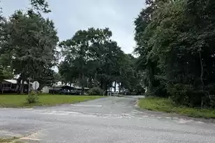 1137 Rugby Ave, Summerton, SC 29148 - Photo 3