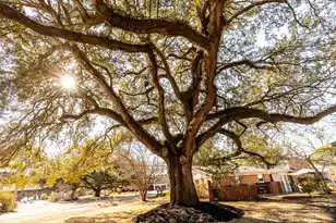 2854 Palmer Dr S, Charleston, SC 29414 - Photo 29