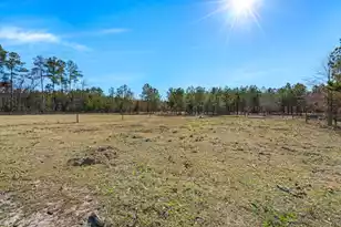 151 Grannys Ln, Saint George, SC 29477 - Photo 47