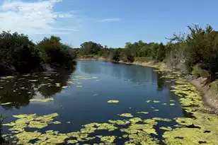 230 Blue Haw Dr, Moncks Corner, SC 29461 - Photo 15