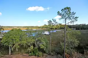 3998 Capensis Ln, Ravenel, SC 29470 - Photo 75