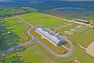 3998 Capensis Ln, Ravenel, SC 29470 - Photo 89