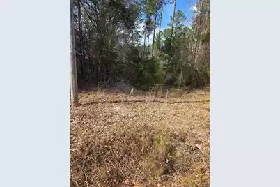 0 Adnah Church Road, Islandton, SC 29929 - Photo 5