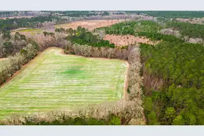0 Adnah Church Road, Islandton, SC 29929 - Photo 7