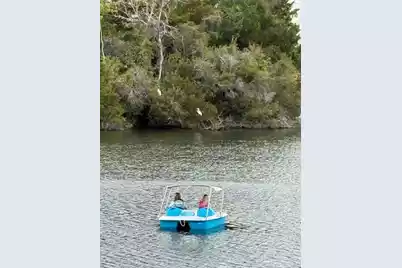 1647 Paradise Lake Drive, Mount Pleasant, SC 29464 - Photo 59