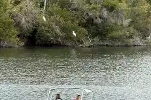 1647 Paradise Lake Dr, Mount Pleasant, SC 29464 - Photo 59