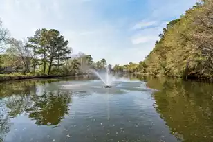 337 Spoonbill Ln, Mount Pleasant, SC 29464 - Photo 39