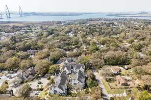 337 Spoonbill Ln, Mount Pleasant, SC 29464 - Photo 41