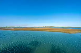 2206 Folly Rd, Charleston, SC 29412 - Photo 33