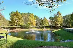 1709 Basildon Rd, Mount Pleasant, SC 29466 - Photo 27