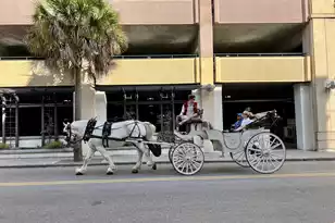 85 Cumberland St, Charleston, SC 29401 - Photo 19