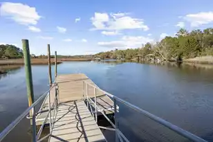 4104 Ten Shillings Way, Ravenel, SC 29470 - Photo 59