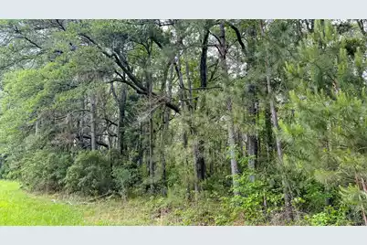 1034 Tuten, Round O, SC 29474 - Photo 65