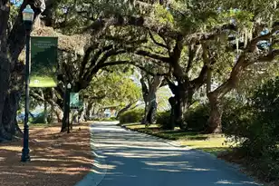 130 River Landing Dr, Charleston, SC 29492 - Photo 37