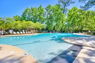 3308 Conservancy Ln, Charleston, SC 29414 - Photo 47