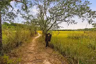 3308 Conservancy Ln, Charleston, SC 29414 - Photo 59
