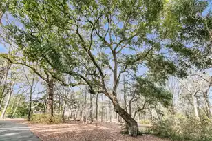 1222 Chandler Rd, Awendaw, SC 29429 - Photo 59