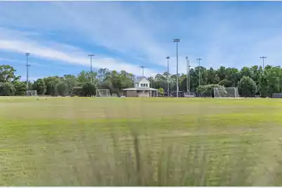 332 Ginned Cotton Street, Daniel Island, SC 29492 - Photo 59