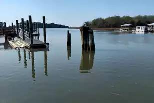 1792 Breezy Bay Wy, McClellanville, SC 29458 - Photo 37