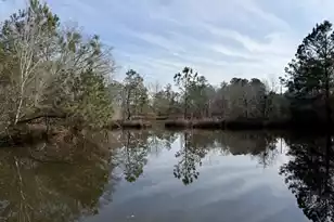 5191 Savannah Hwy, North, SC 29112 - Photo 1