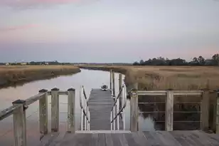 1709 Vireo Ct, Johns Island, SC 29455 - Photo 23