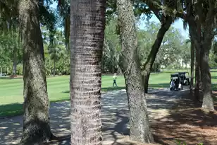 258 Driftwood Ln, Edisto Island, SC 29438 - Photo 3