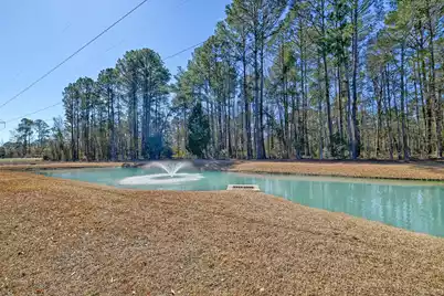 1807 Chauncys Court, Mount Pleasant, SC 29466 - Photo 11