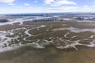 1606 Terns Nest Rd, Charleston, SC 29412 - Photo 45