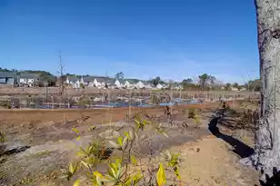 1799 Towne St, Johns Island, SC 29455 - Photo 37