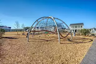 305 Sherrod Pk Ln, Summerville, SC 29486 - Photo 49