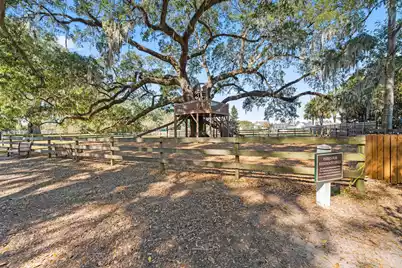 125 Trumpet Vine Drive, Summerville, SC 29483 - Photo 47