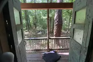 7205 Hwy 162, Hollywood, SC 29449 - Photo 25