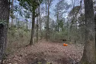 7205 Hwy 162, Hollywood, SC 29449 - Photo 27